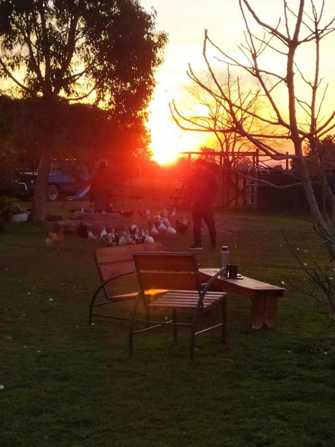 Vila Finca La Pasionaria - Conectandonos Belén de Escobar Exteriér fotografie