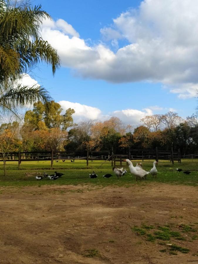 Vila Finca La Pasionaria - Conectandonos Belén de Escobar Exteriér fotografie