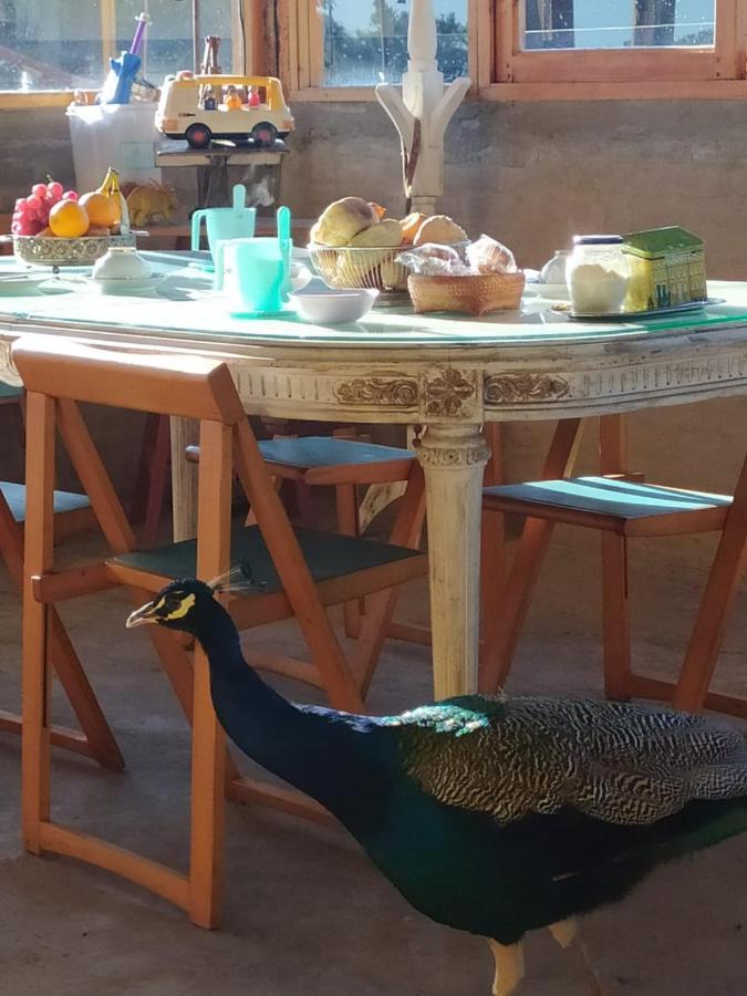 Vila Finca La Pasionaria - Conectandonos Belén de Escobar Exteriér fotografie